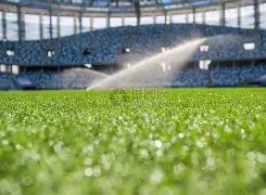 周杰伦携手,苏富比,开启重磅艺,PA真人官网,PA真人视讯,PA真人娱乐,PA真人注册,PA真人平台,PA真人试玩