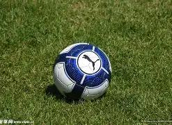 巅峰对决,加拉塔萨雷,挑战马竞,PA真人官网,PA真人视讯,PA真人娱乐,PA真人注册,PA真人平台,PA真人试玩