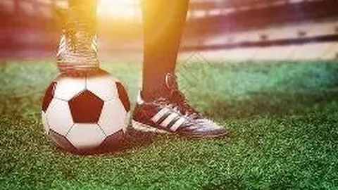 李嘉欣晒照庆生心情佳 感恩好友赠花温馨环绕